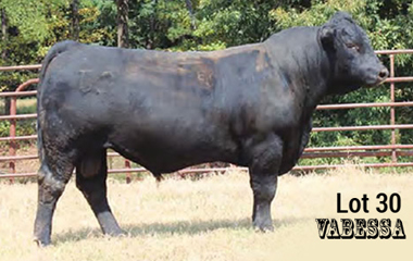 Lot 30 - TJB 914U VALERO 4114C ET